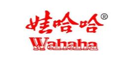 娃哈哈的管理自動化(MA)平臺