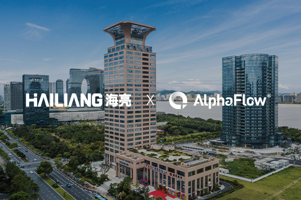 海亮集團選用微宏AlphaFlow流程平臺